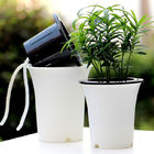 أواني نباتات منزلية ذاتية السقي ISO9001 125 مم
